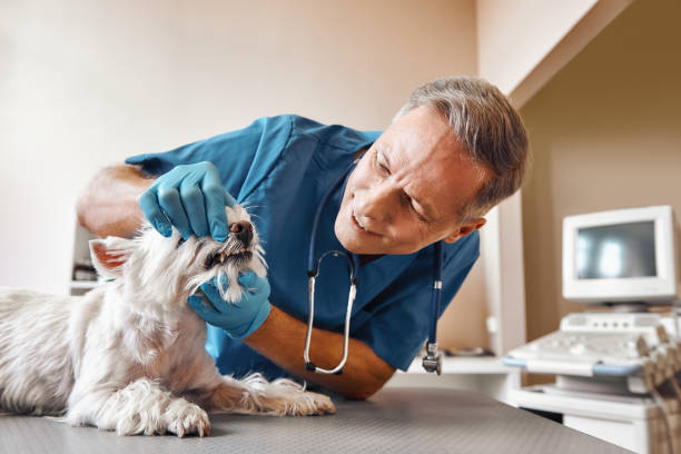 Best Emergency Tooth Extraction  in Centerville, OH